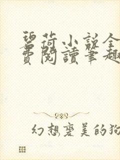 碧荷小说全文免费阅读笔趣阁