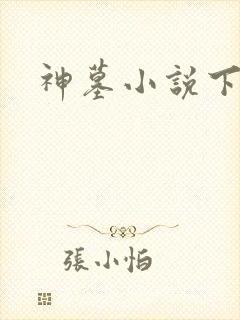 神墓小说下载