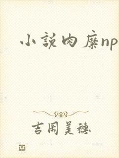 小说肉糜np