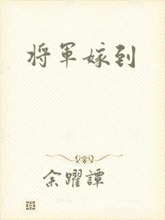 将军嫁到