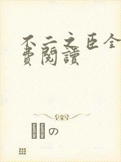 不二之臣全文免费阅读封面