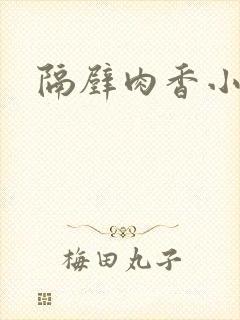 隔壁肉香小说