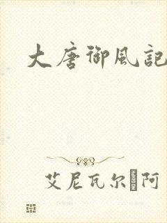 大唐御风记