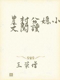 农村公媳小说全文阅读封面