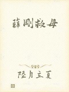 薛刚救母
