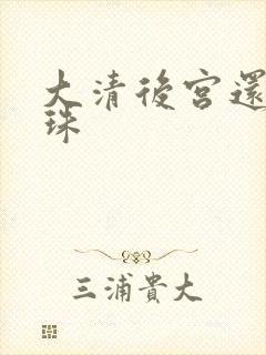 大清后宫还君明珠封面