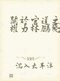 关于官道之绝对权力林鹏飞安江小说