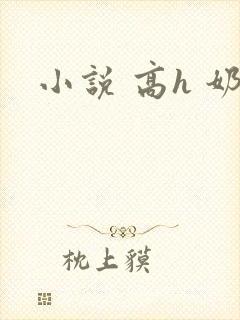 小说 高h 奶封面