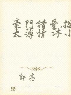豪门错爱,总裁太薄情 沐小乌