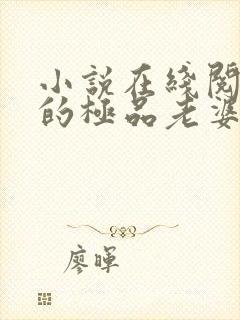小说在线阅读我的极品老婆