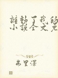 谁动了我的老婆小说全文免费阅读