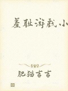 羞耻游戏小说