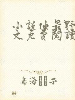 小说他最野了全文免费阅读