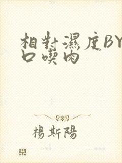 相对湿度BY大口吃肉
