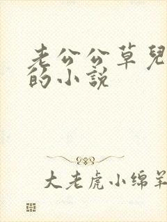 老公公草儿媳妇的小说