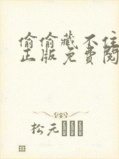 偷偷藏不住小说正版免费阅读全文