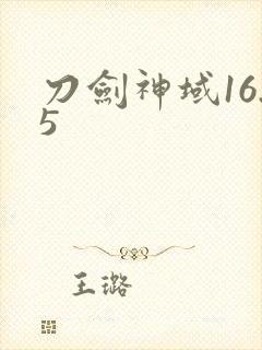 刀剑神域16.5封面