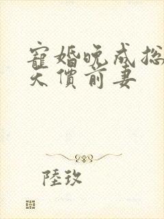 宠婚晚成总裁的天价前妻