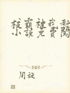 校霸被我赶透了小说免费阅读全文封面