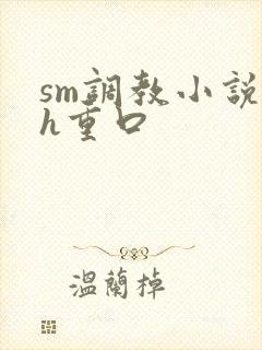 sm调教小说高h重口