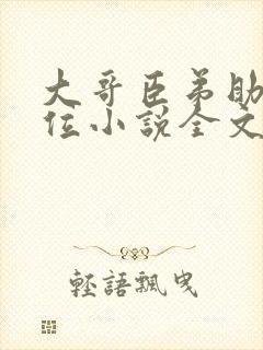 大哥臣弟助你上位小说全文阅读