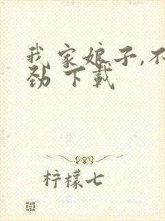 我家娘子,不对劲 下载