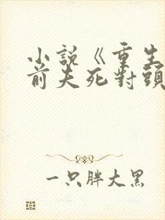 小说《重生嫁给前夫死对头》