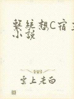 系统想C宿主的小说