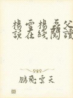 杨雪杨磊父女小说在线阅读全文