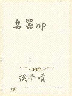 名器np