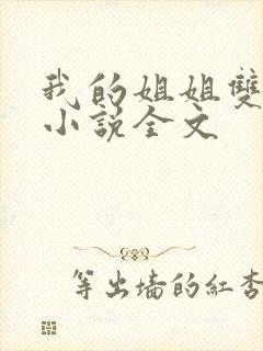 我的姐姐双女主小说全文封面