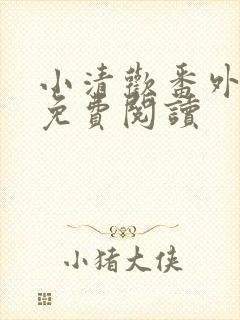 小清欢番外全文免费阅读封面
