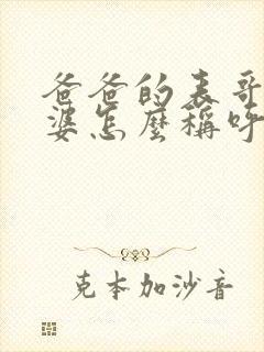 爸爸的表哥的老婆怎么称呼