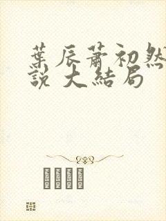 叶辰萧初然 小说 大结局
