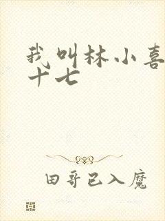 我叫林小喜今年十七