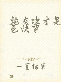 炮灰攻才是真绝色快穿