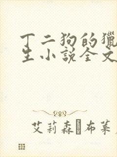 丁二狗的猎艳人生小说全文无删减封面