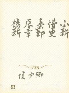 杨辰秦惜小说最新章节更新