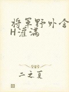 将军野外含公主H灌满封面