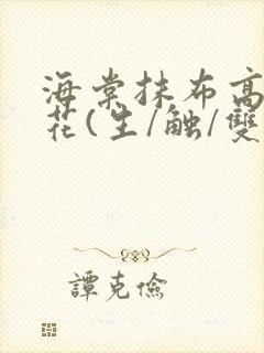 海棠抹布高岭之花(生/触/双)封面