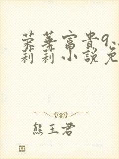 荣华富贵9小王莉莉小说免费阅读封面