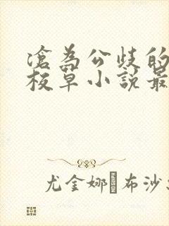 沧为公歧的清纯校草小说最新章节更