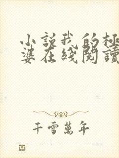 小说我的极品老婆在线阅读封面