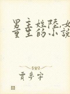男主姓陆,女主重生的小说