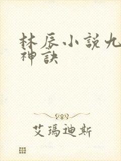 林辰小说九天斩神诀封面