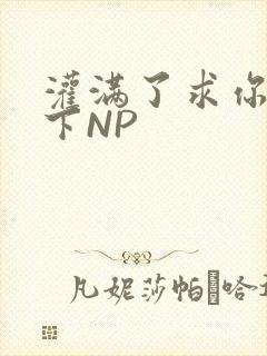 灌满了求你们停下NP