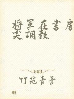 将军在书房含乳尖调教