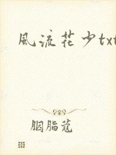 风流花少txt封面