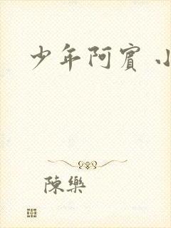少年阿宾 小说