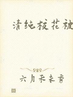 清纯校花被封面